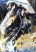 อ่านการ์ตูน The Martial Genius Who Remembers Everything